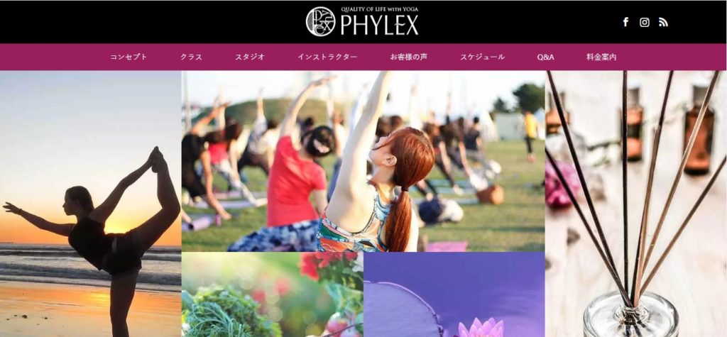 phylex